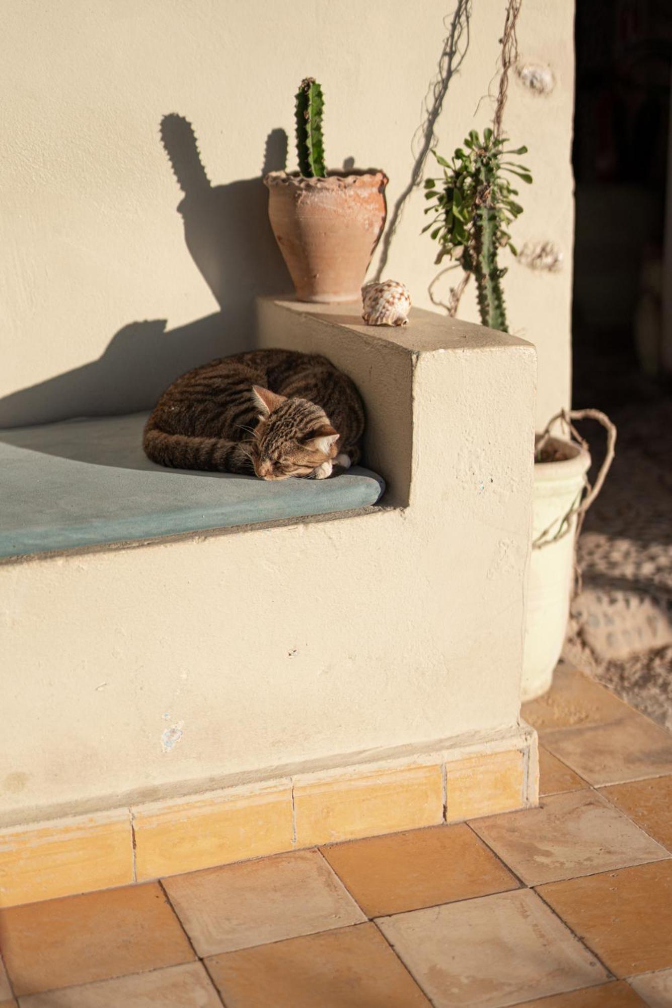 Dar Afoulky Maison D'Hotes Sidi Kaouki Exterior foto